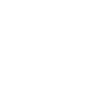 logo vision wander